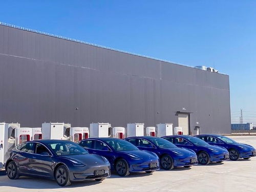 讓蔚來們冒汗的還在后頭 研報(bào)稱國產(chǎn)特斯拉還有30 降價(jià)空間